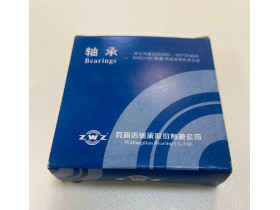 0922080823 Подшипник 6205 ZWZ China